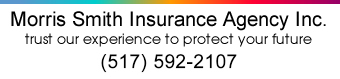 Insurance Brooklyn Michigan